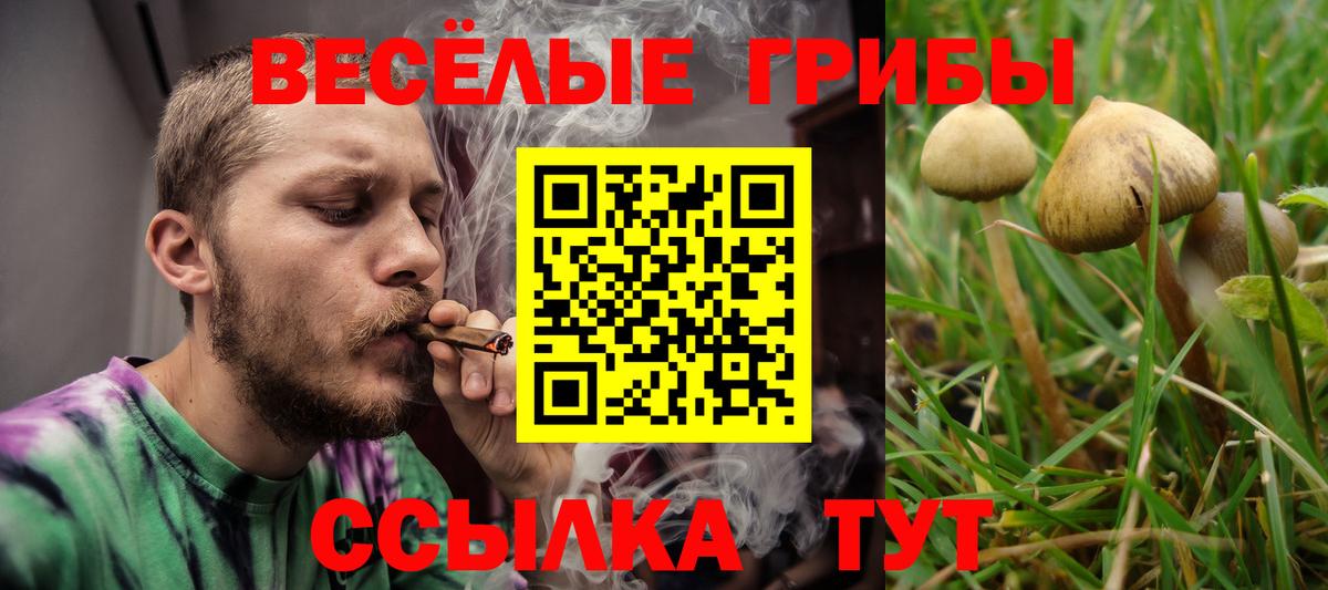 как найти   Псилоцибиновые грибы мицелий  Вход с VPN  Добрянка 
